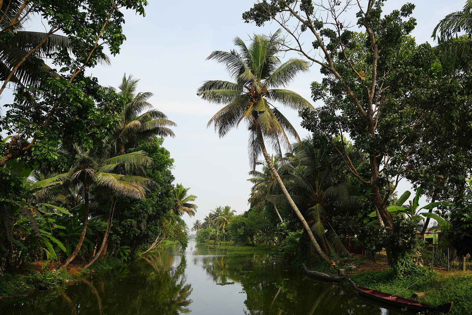 Palm-lined Kerala backwater canal near Alleppey, Kerala houseboat tour package